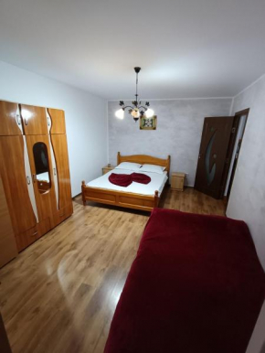 Apartament Nemira